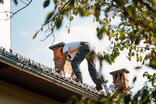Best Roof Installation  in Westover, WV