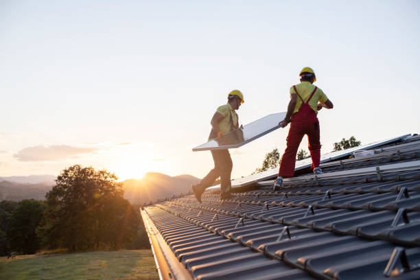 Best Storm Damage Roof Repair  in Westover, WV