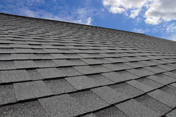 Best Steel Roofing  in Westover, WV