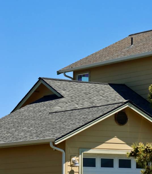 Best Roof Moss and Algae Removal  in Westover, WV